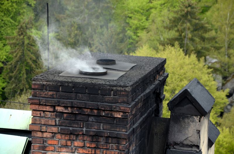 Expert Chimney Professionals — cost