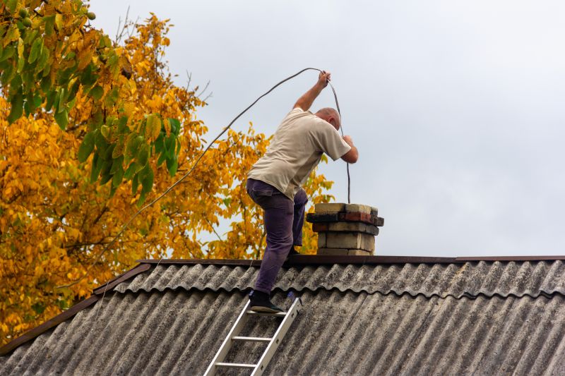 Expert Chimney Professionals — cost
